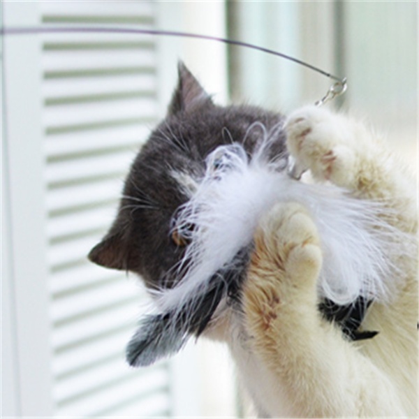 Cat toy funny cat stick - Image 6