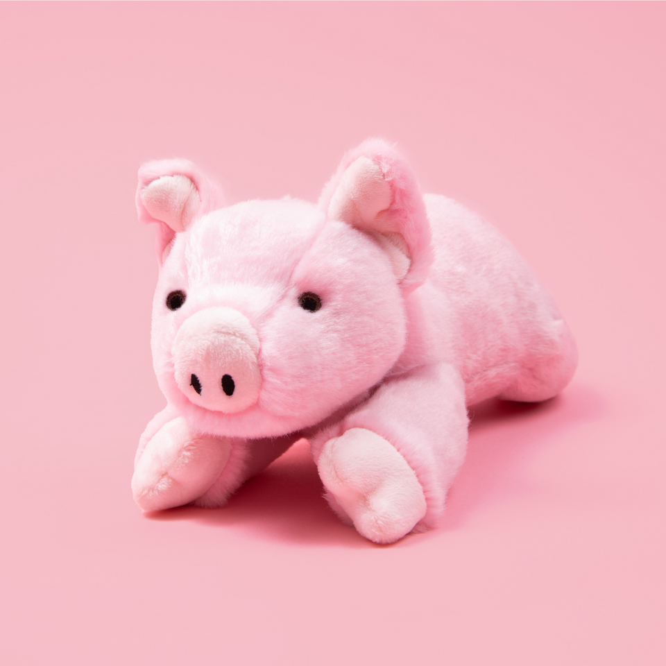 Medium Durable Pig Plush Dog Toy