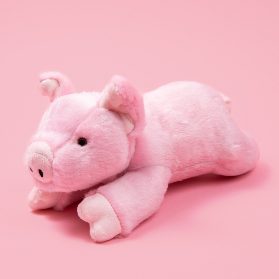 Medium Durable Pig Plush Dog Toy