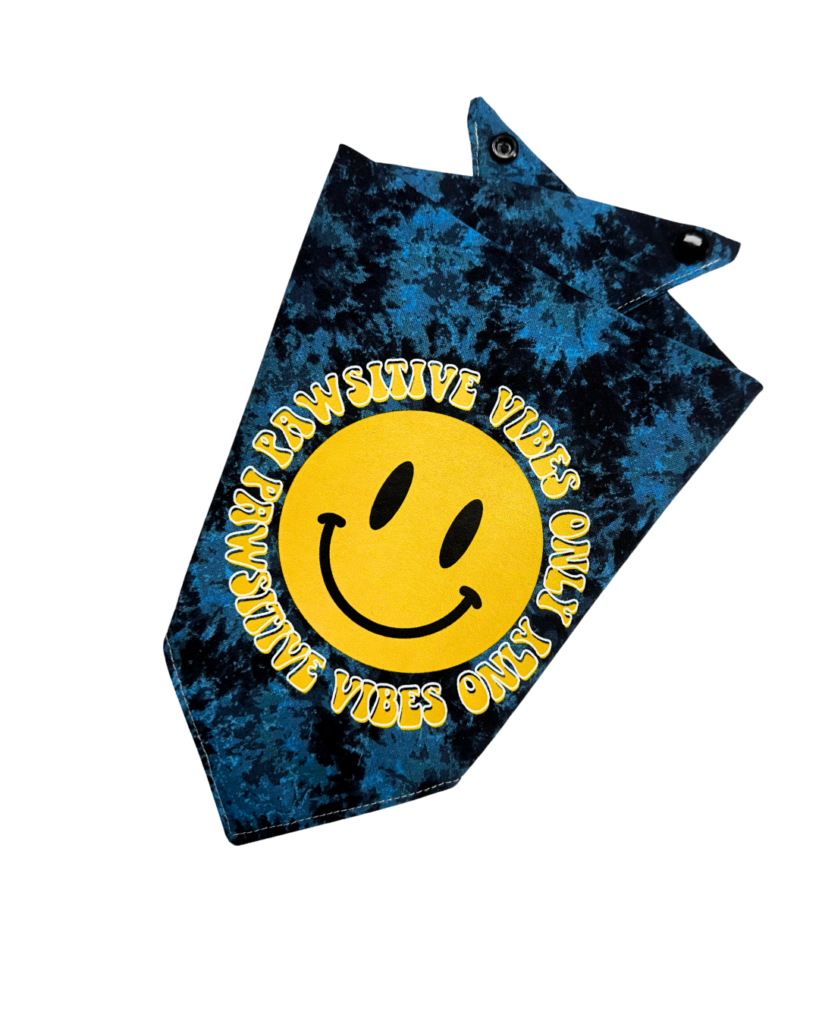 Rainbow Message Print Cotton Dog Bandana