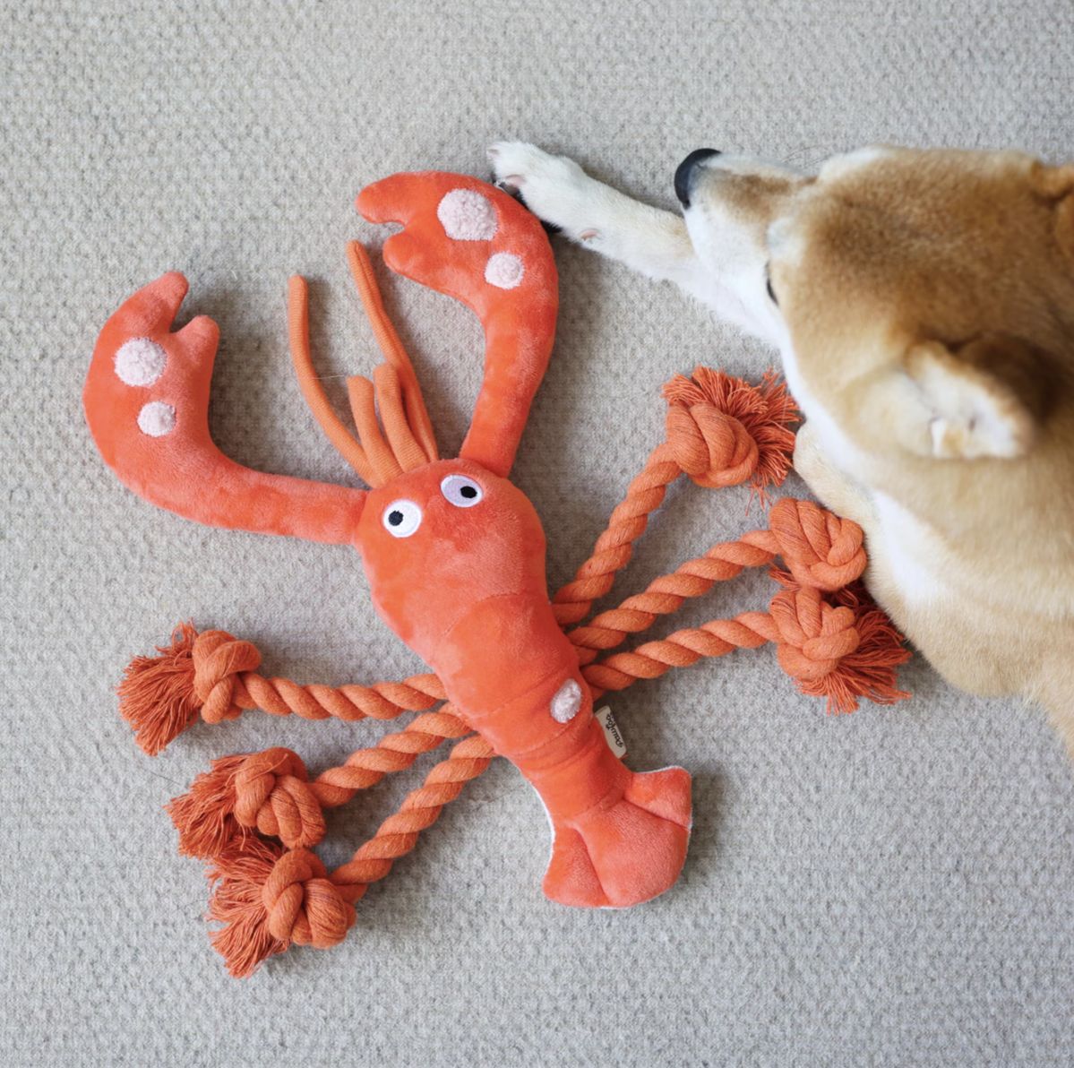Soft Play Toys