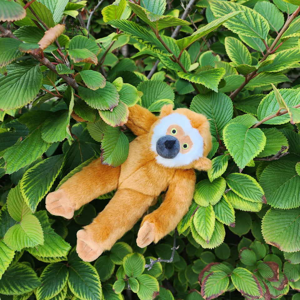 Medium Durable Monkey Plush Dog Toy