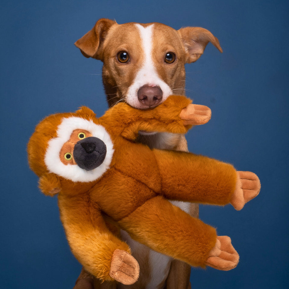 Medium Durable Monkey Plush Dog Toy