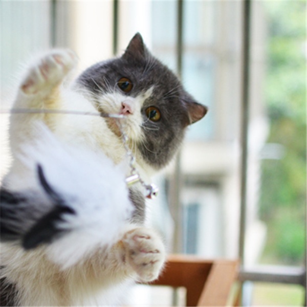 Cat toy funny cat stick - Image 5