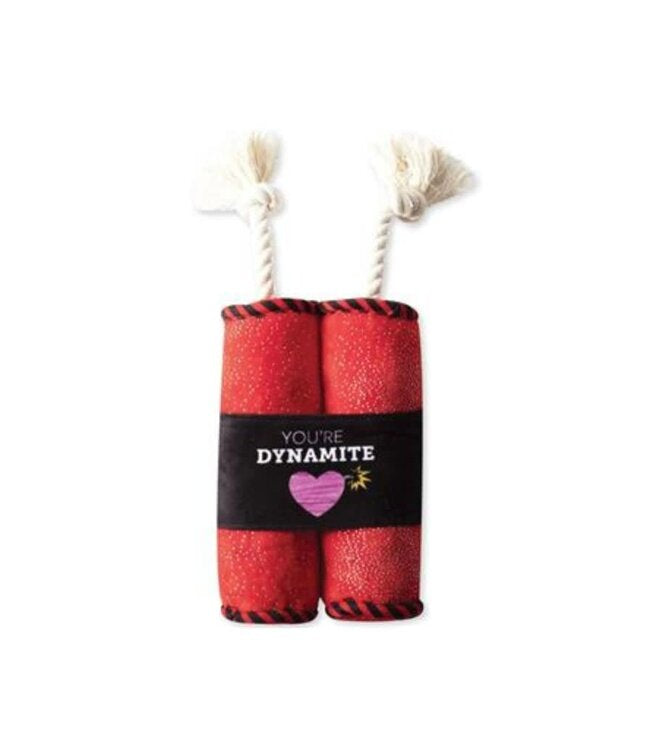 Dynamite Crinkle Rope Plush Dog Toy