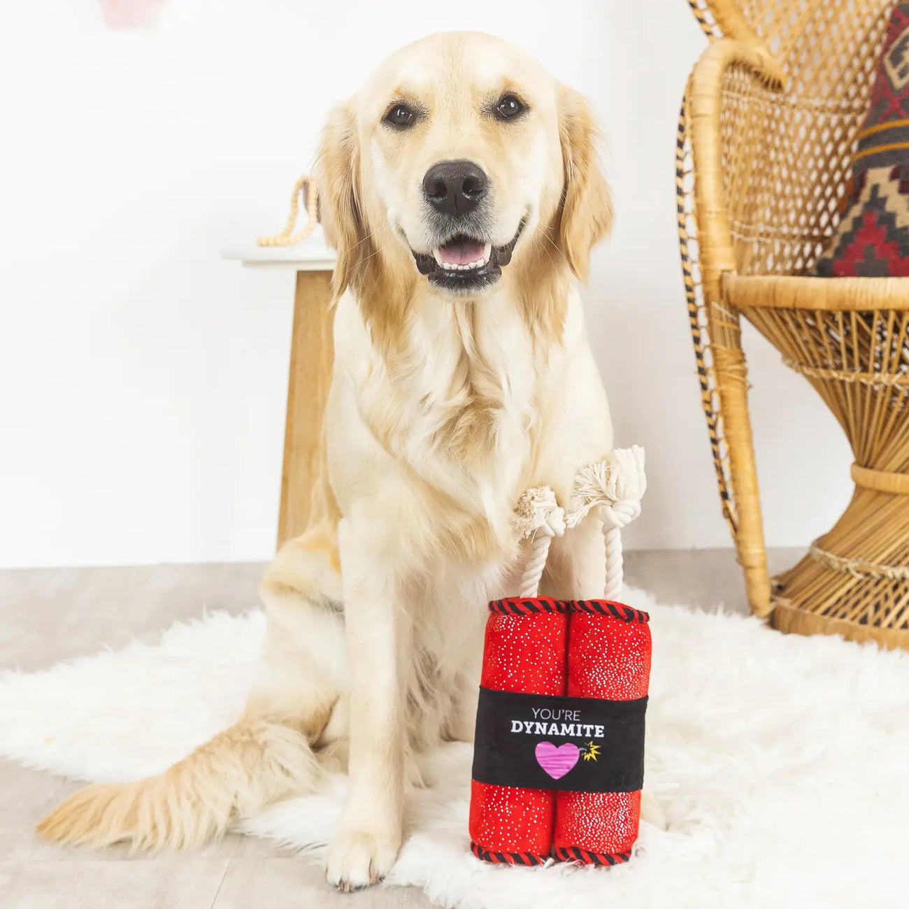 Dynamite Crinkle Rope Plush Dog Toy