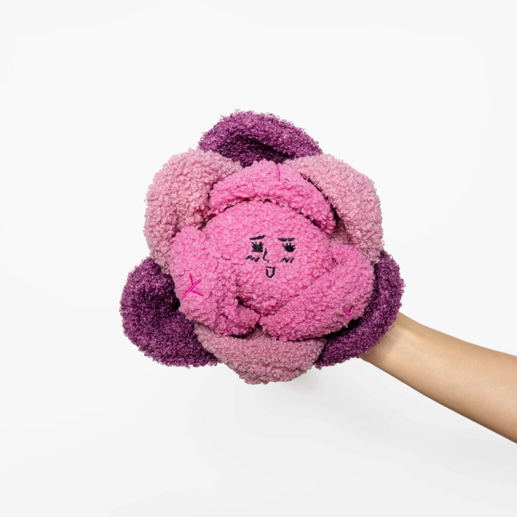 Red Cabbage Nosework Plush Dog Toy