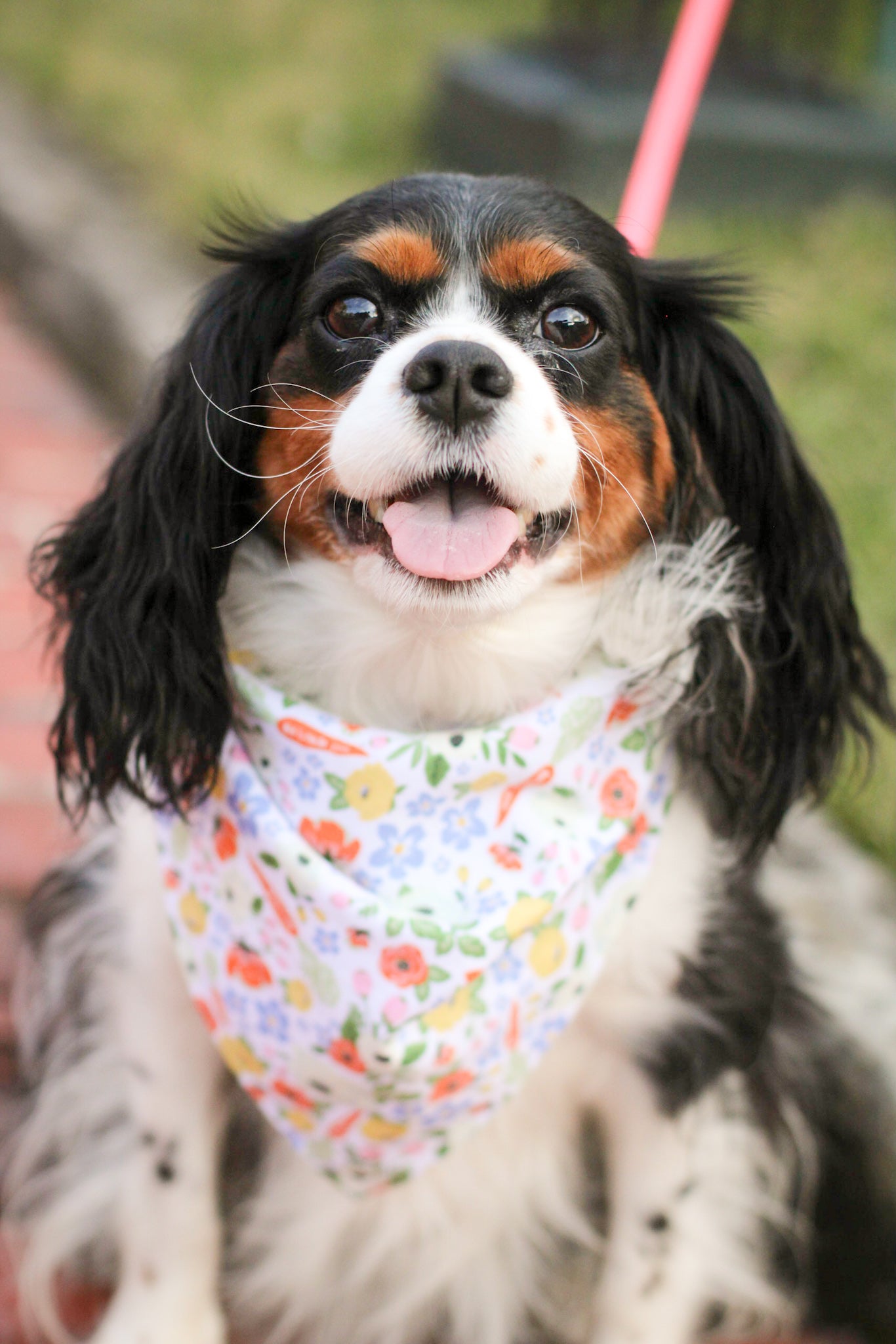 Carrot Floral Print Cotton Dog Bandana