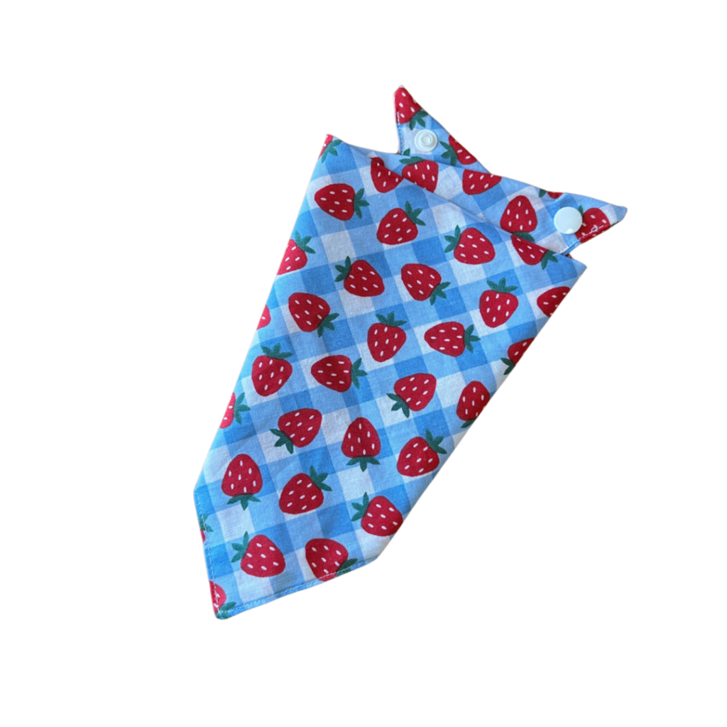 Gingham Berry Print Cotton Dog Bandana