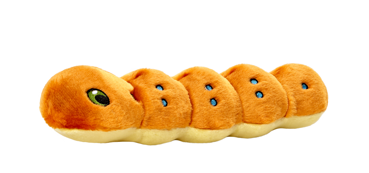 Small Durable Caterpillar Plush Dog Toy