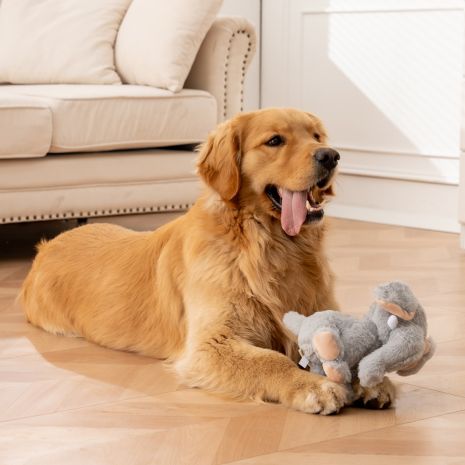 Squeaky Animated Elephant Plush Dog Toy