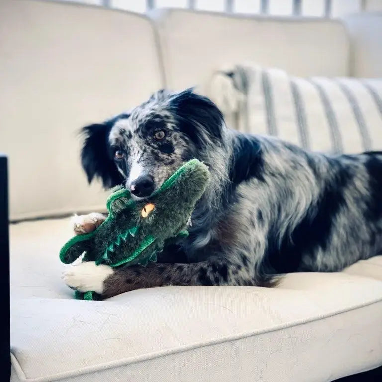 Squeaky Durable Gator Plush Dog Toy