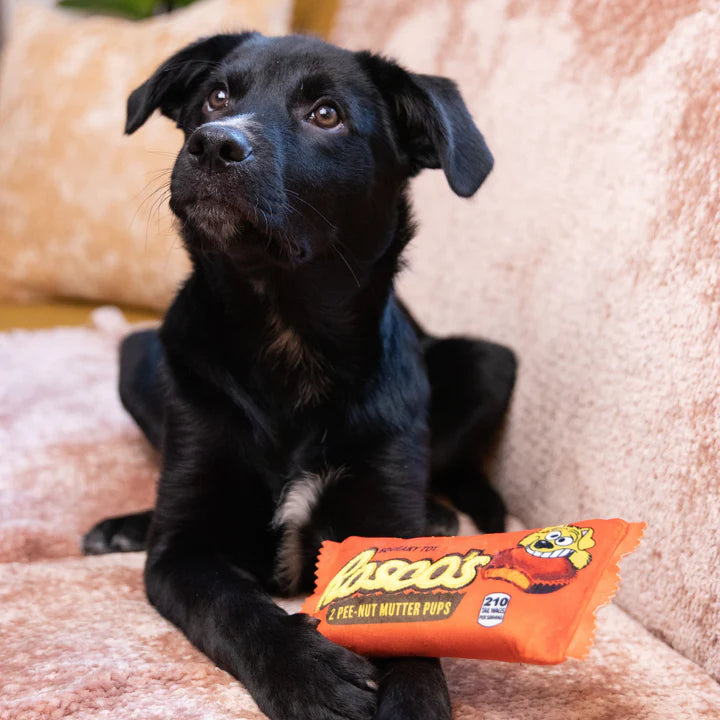 Peanut Butter Cup Plush Dog Toy