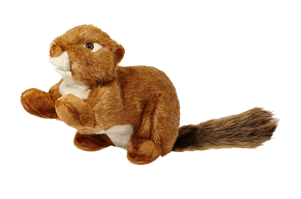 Large Squeaky Durable Squirrel Plush Dog Toy